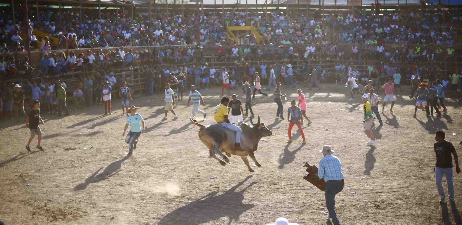 Conozca los artistas internacionales que engalanaran las fiestas